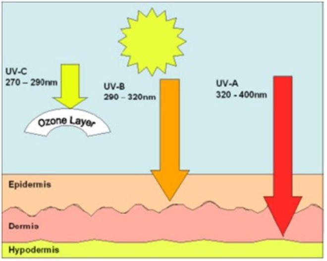 UV-B, UB-A og UV-C