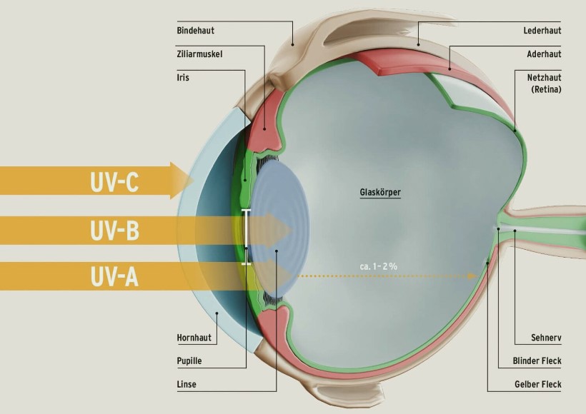 øye tar skade av UVA-stråler