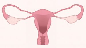 livmor gynekolog